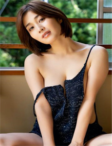 大明按察使全集